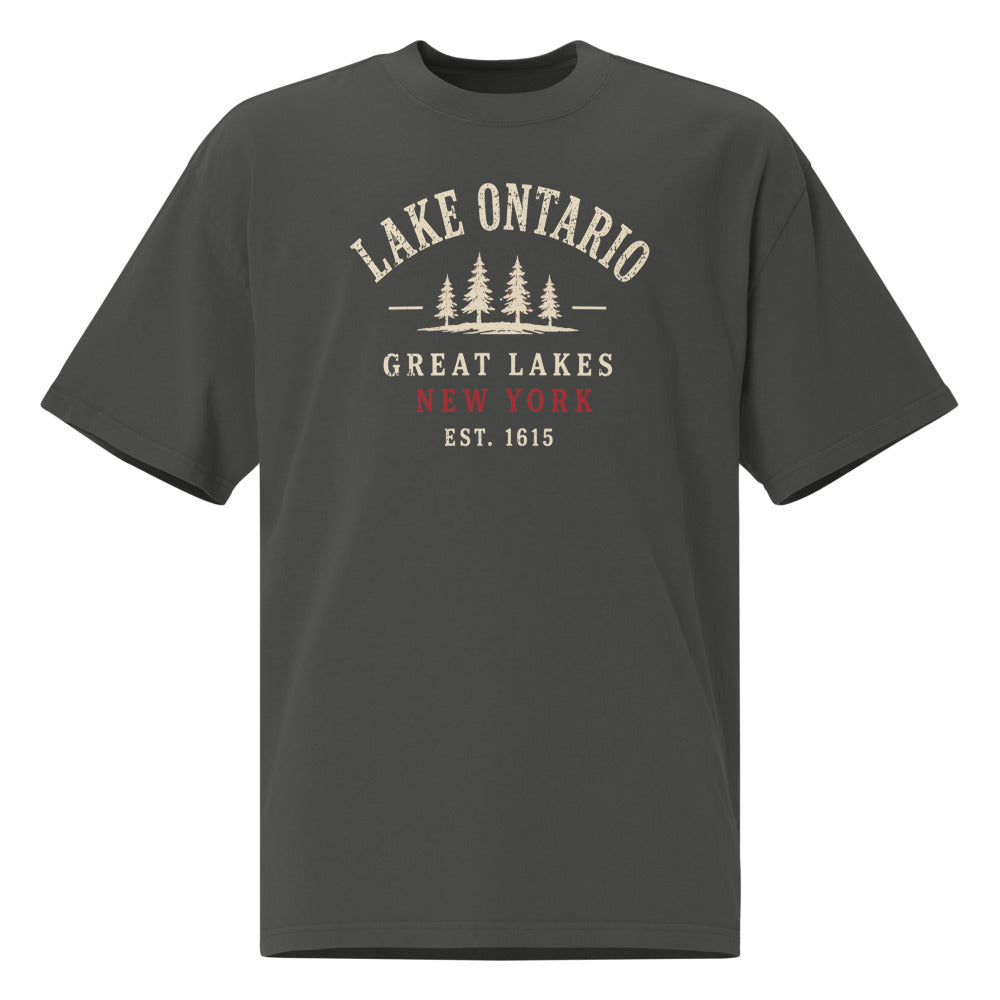 Lake Ontario Great Lakes Tee — Faded Coal