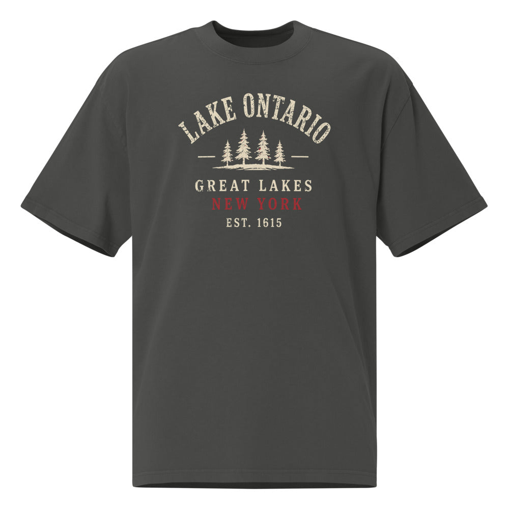 Lake Ontario Great Lakes Tee — Faded Coal