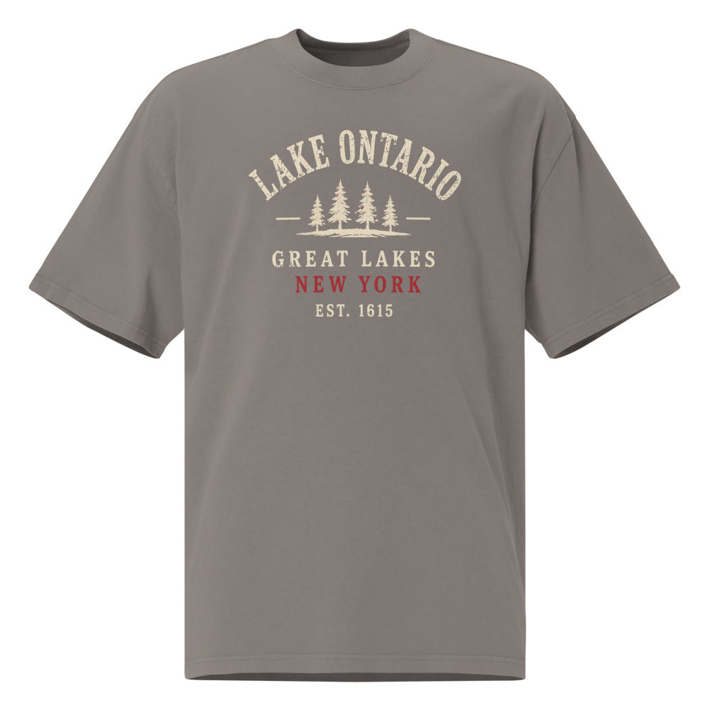 Lake Ontario Great Lakes Tee — Faded Grey